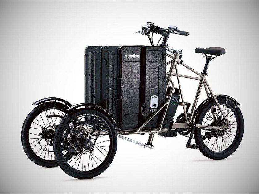 Трёхколёсный электронный веоиквзрослый