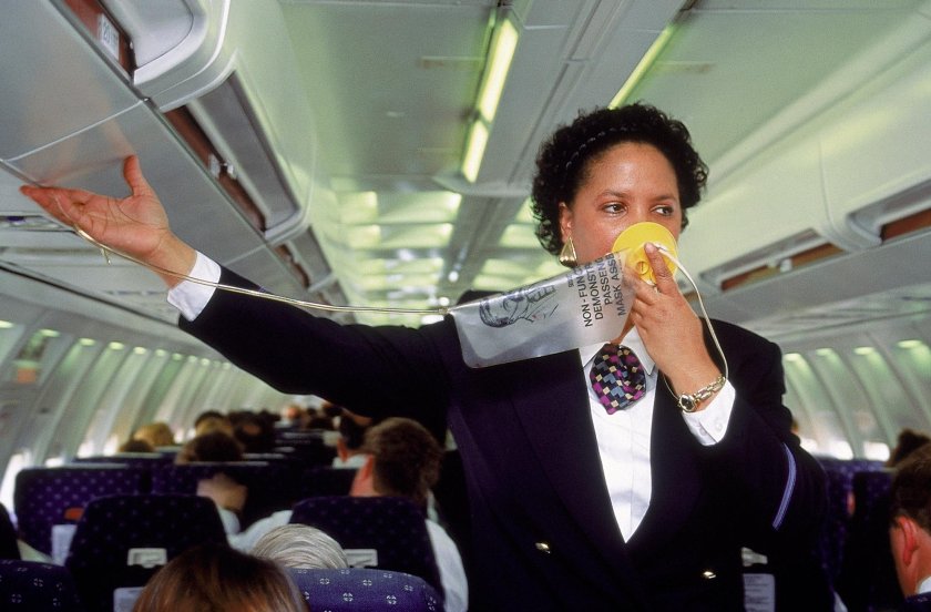 Stewardess паника