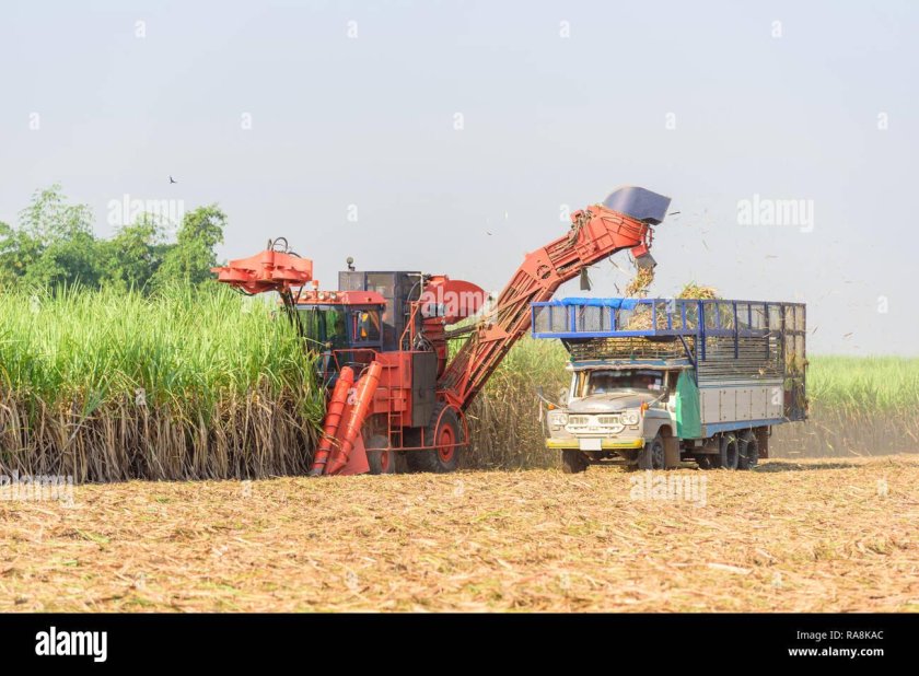 Тростниково-уборочный комбайн КТП-1