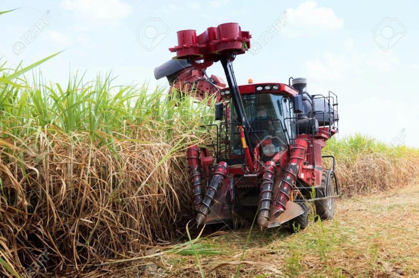 Sugarcane Harvester