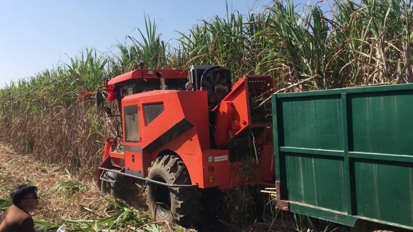 Джон Дир комбайн для уборки сахарного тростника