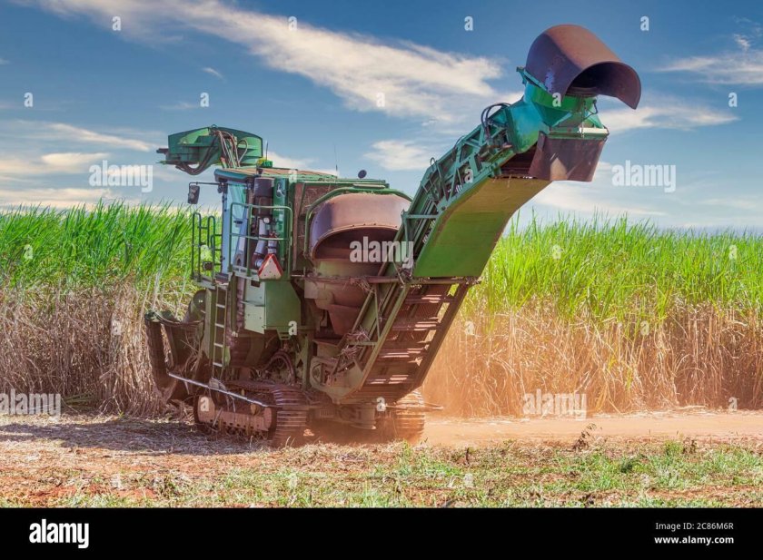 Комбайн для сбора сахарного тростника