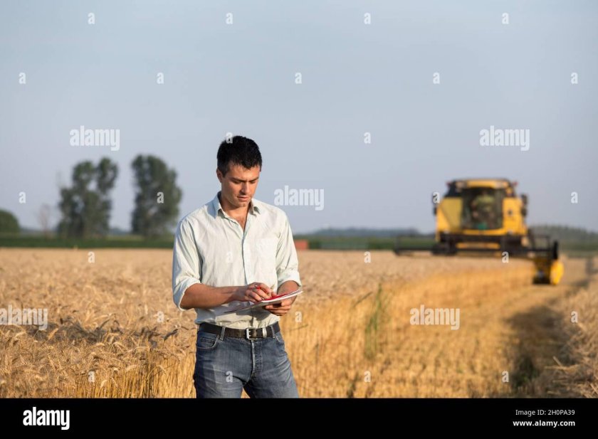 Человек возле комбайна