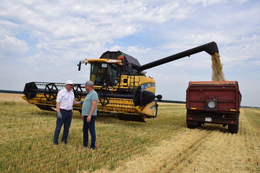 КФХ Сулейманов Нурлатский район