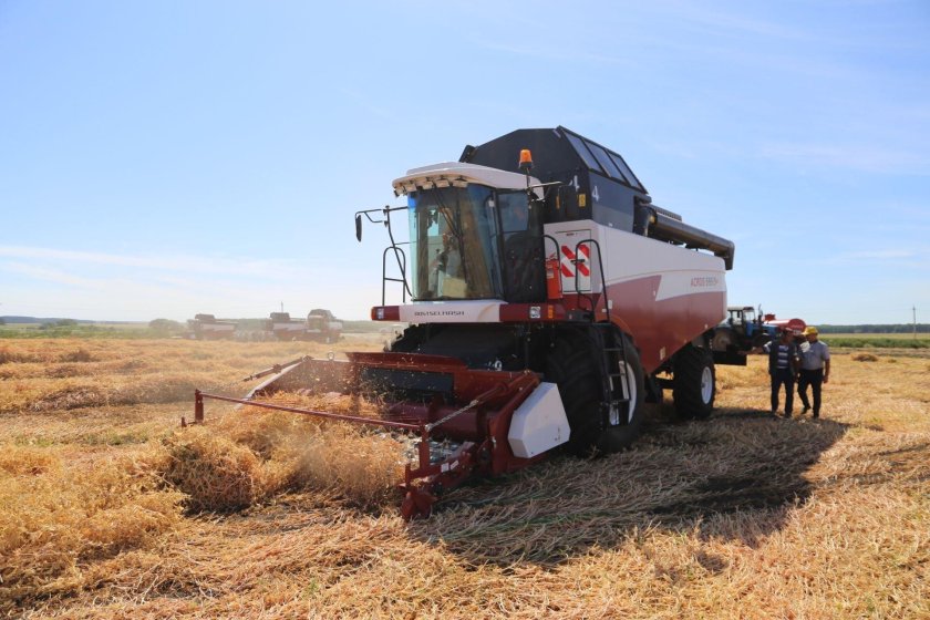 Уборочная страда в Альменево