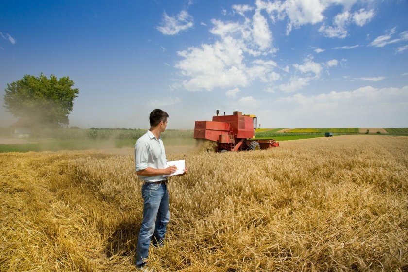 Механизатор в поле