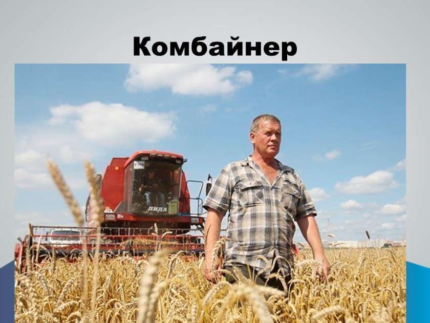 Хлеборобы в поле