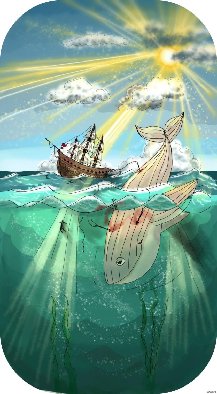 Кит и парусник