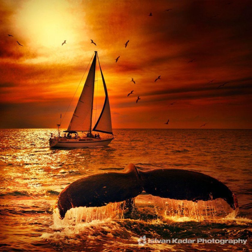 Лодка в океане