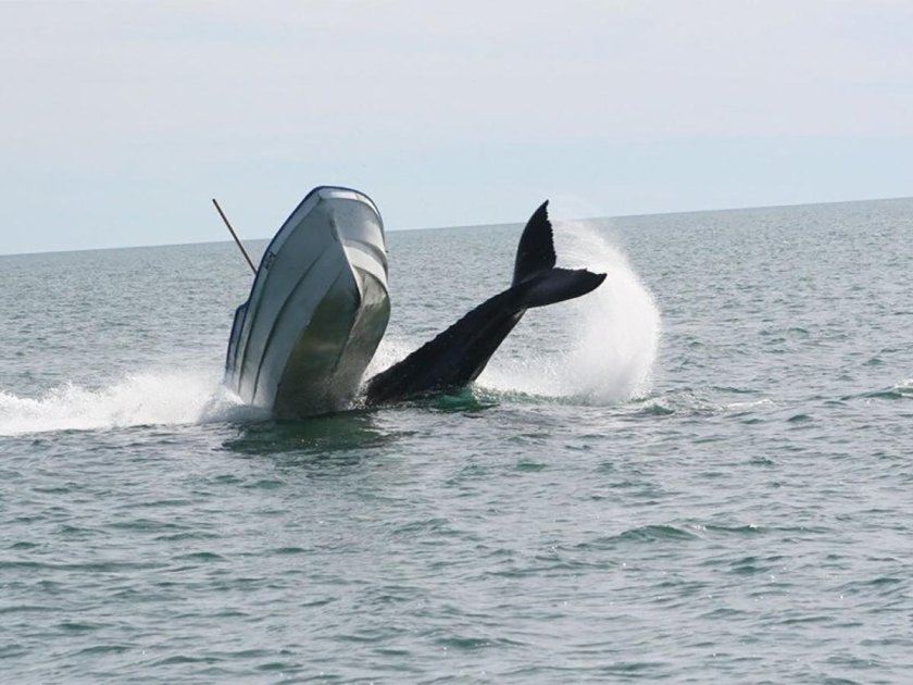 Подводная лодка Касатка