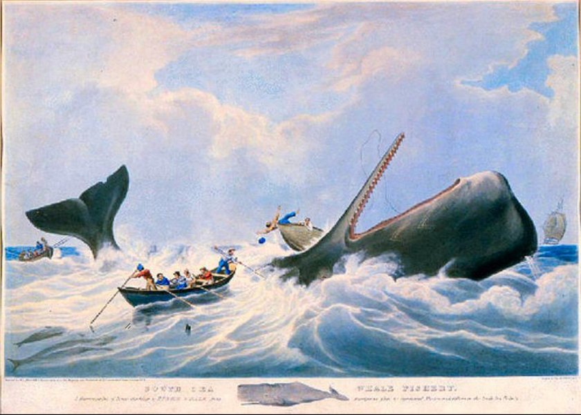 Китобойный корабль Моби Дик