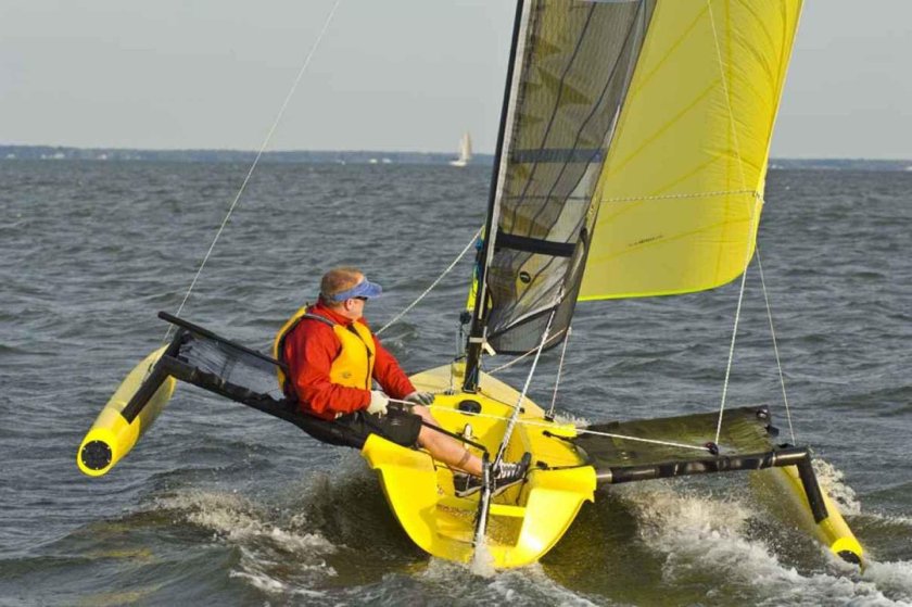 Weta тримаран