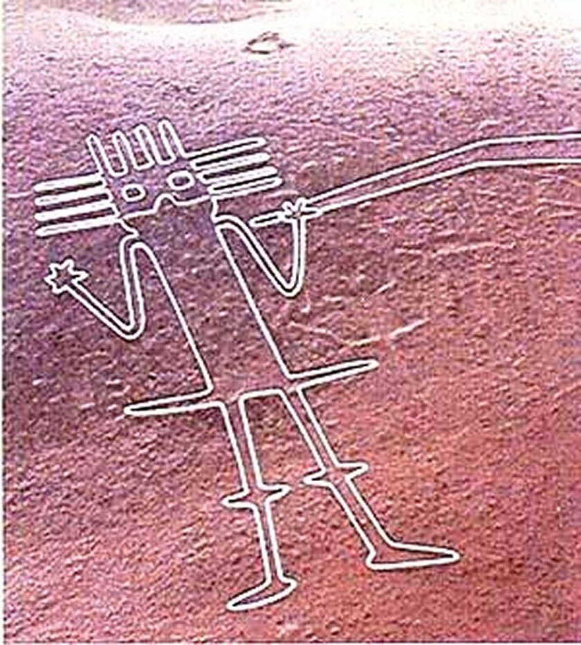 Рисунки пустыни Наска