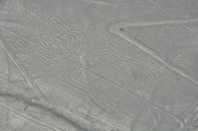 Геоглифы плато Пальпа