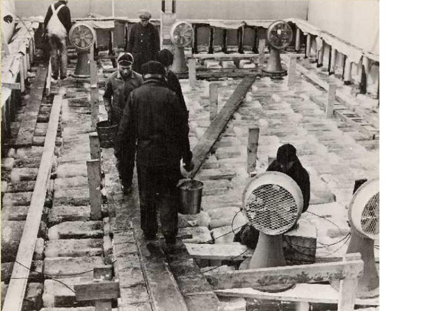 Аввакум авианосец