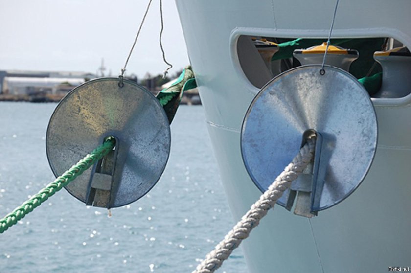 Противокрысиный судовой щит