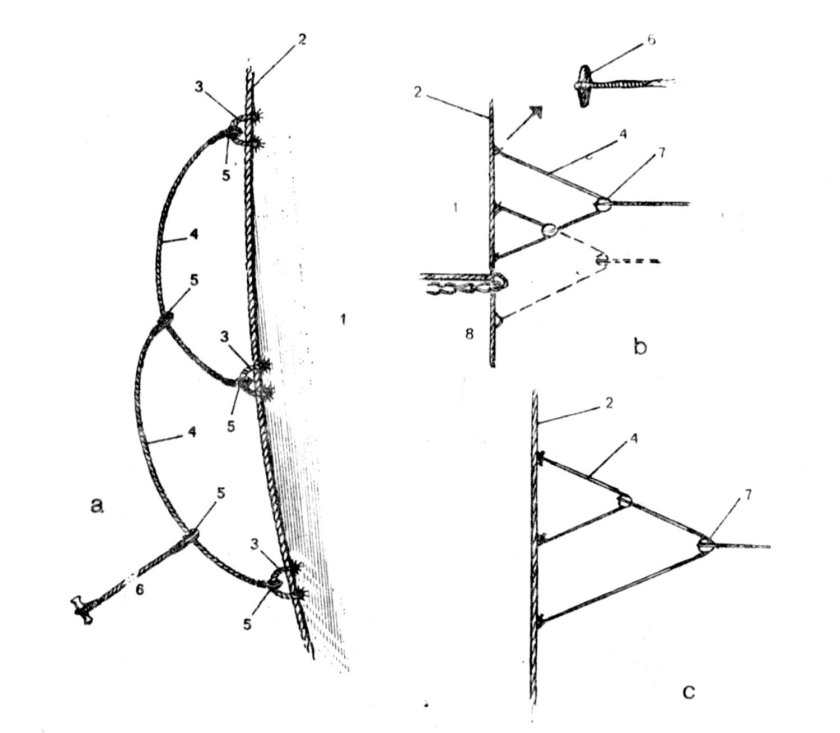 Кренгельсы на Парусе