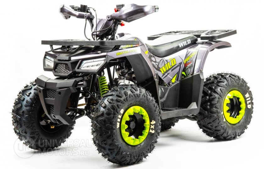 Квадроцикл Motoland 125 Wild