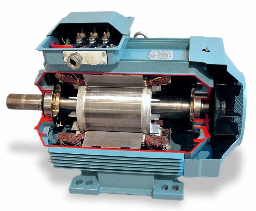 Электродвигатель Induction Motor 220v