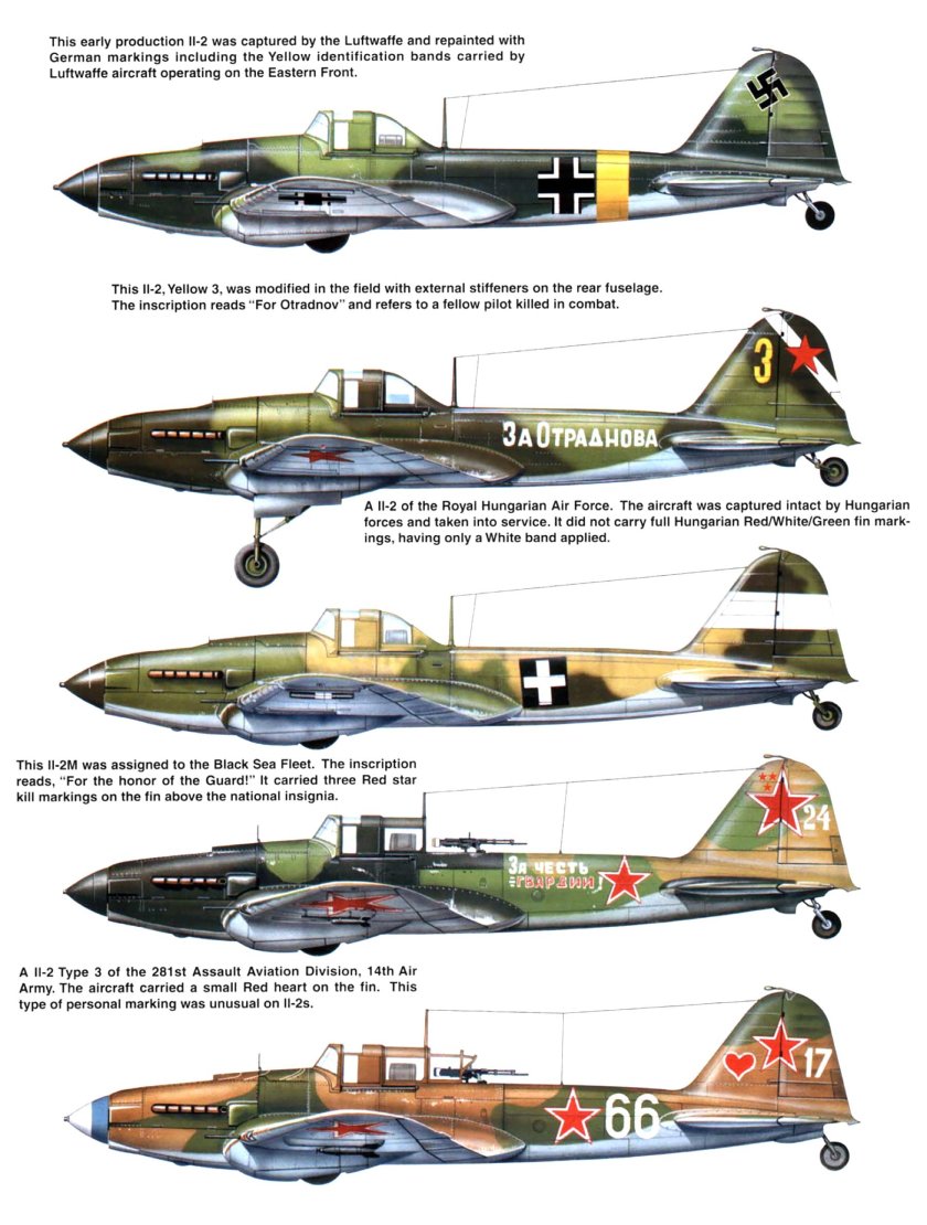 Ил-2 Штурмовик окраска самолета