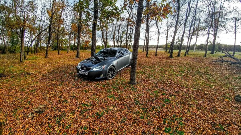 Лексус в лесу