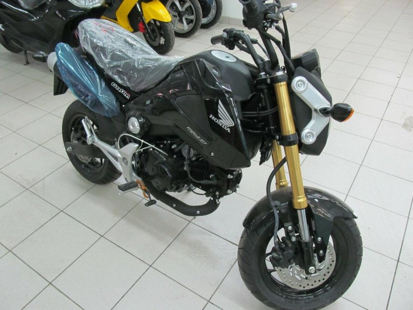 Хонда макака