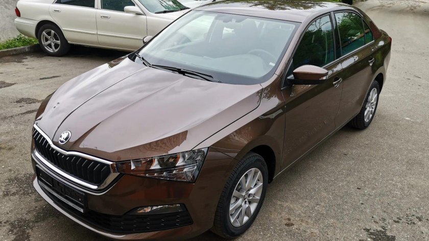 Коричневый Тоффи металлик Рапид