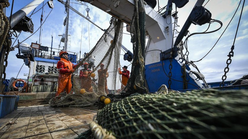Рыбопромышленный комплекс дальнего Востока