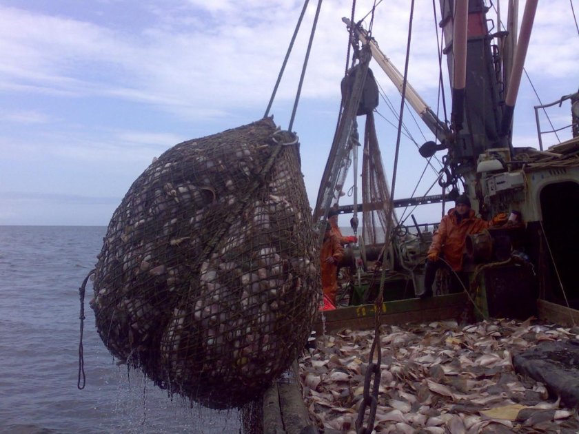 Промысловые тралы