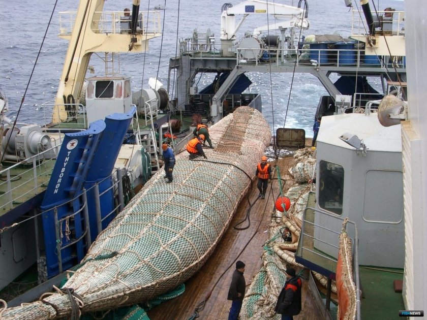 Траловый промысел Баренцево море