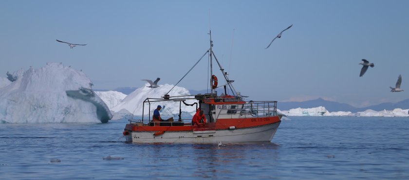 Сейнер Ольхон