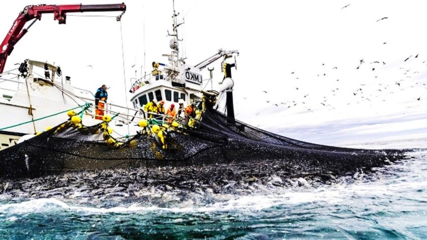 Траулер Баренцево море