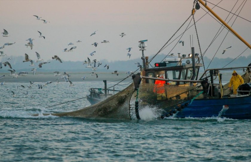 Рыболовное судно в море