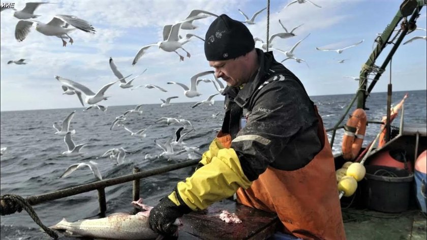 Мурманск рыбный промысел