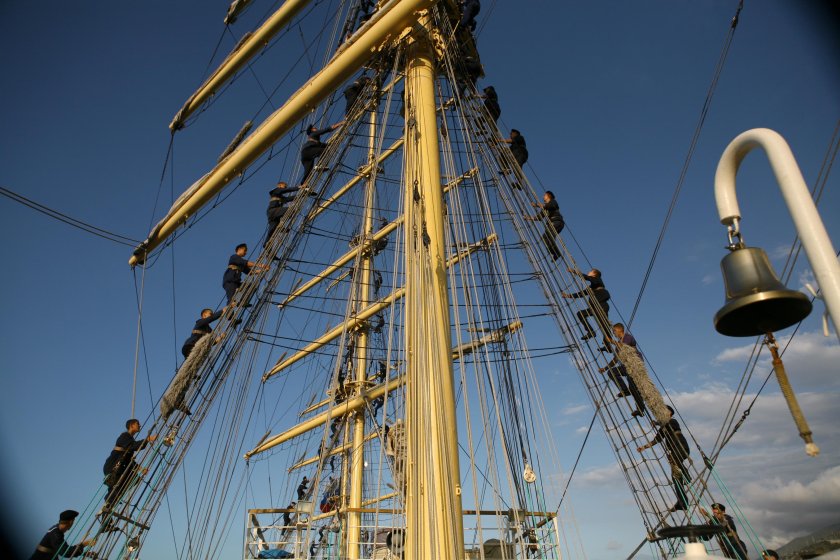 Упс Паллада