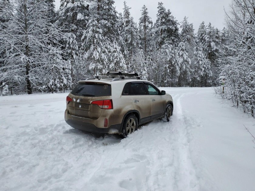 Киа Соренто зимой в лесу