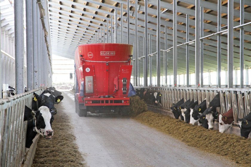 Кормораздатчики для ферм КРС