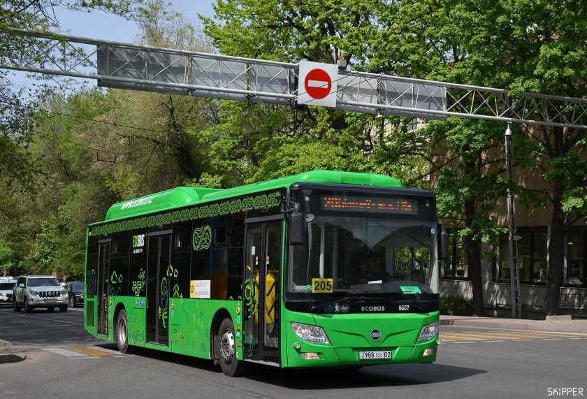 Автобусы Алматы