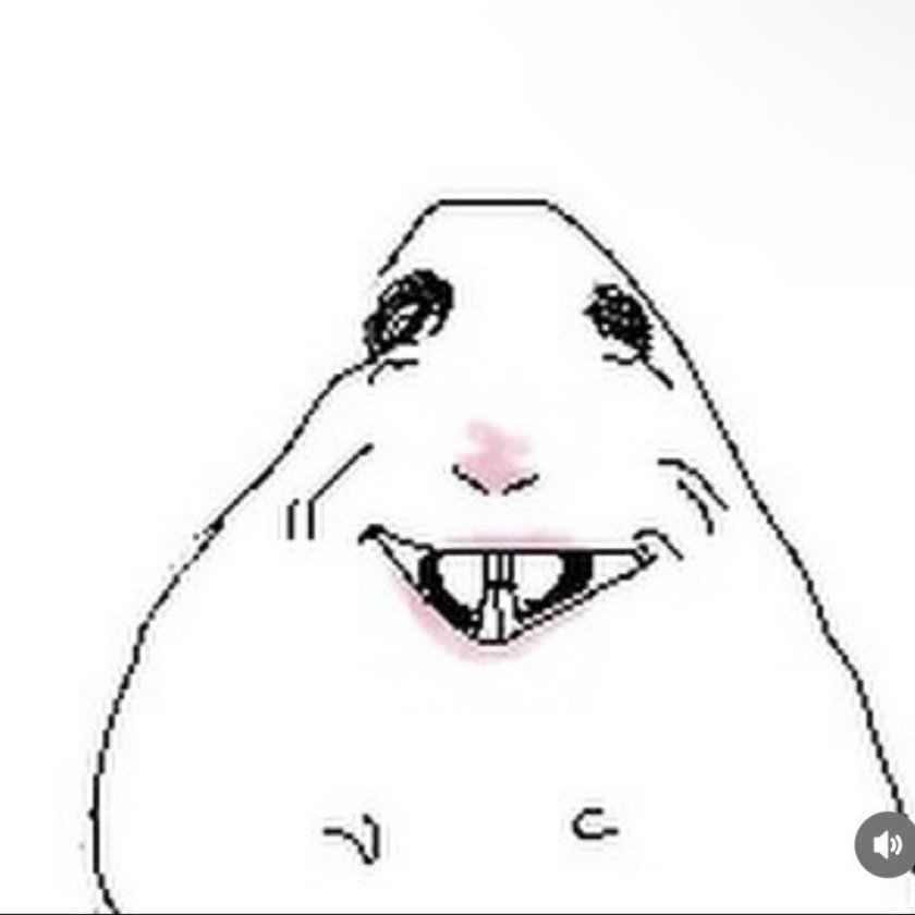 СЭД Хамстер Мем