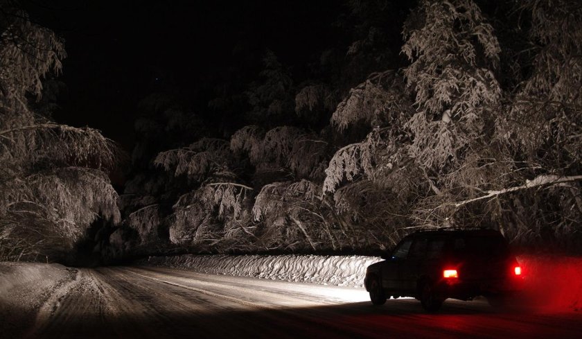 Машина в лесу ночью