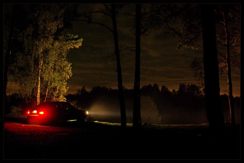 Автомобиль в ночном лесу