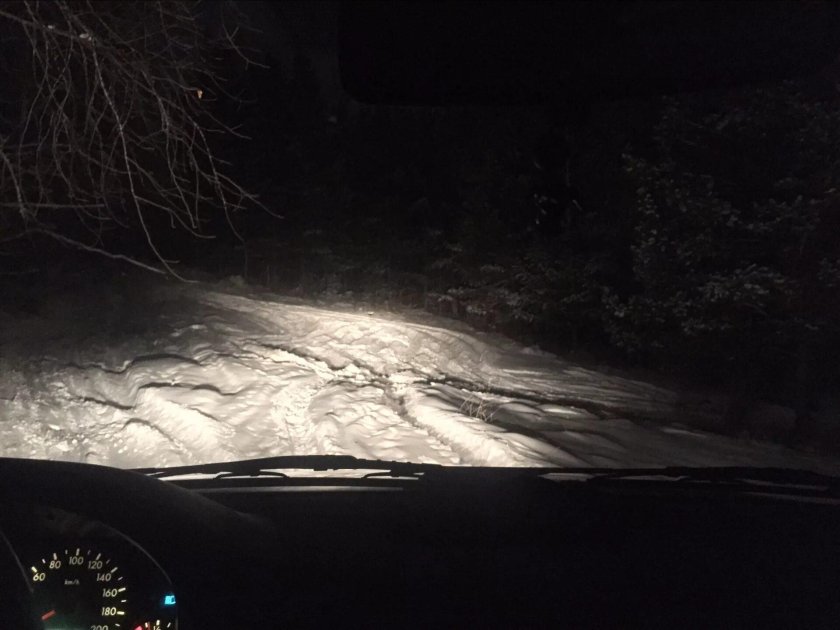 Ночные покатушки по лесу