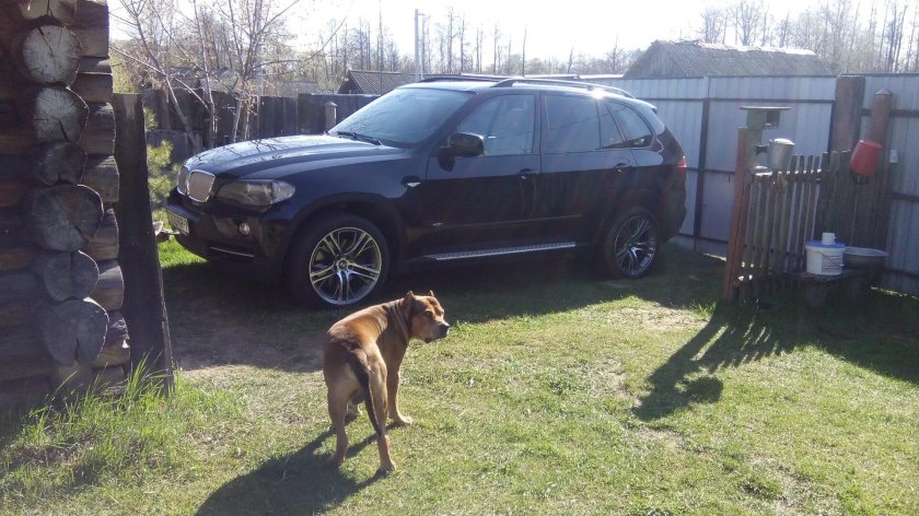БМВ х5 в деревне