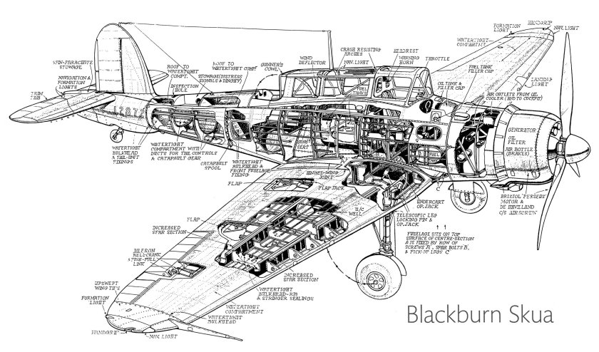 Blackburn Skua чертежи