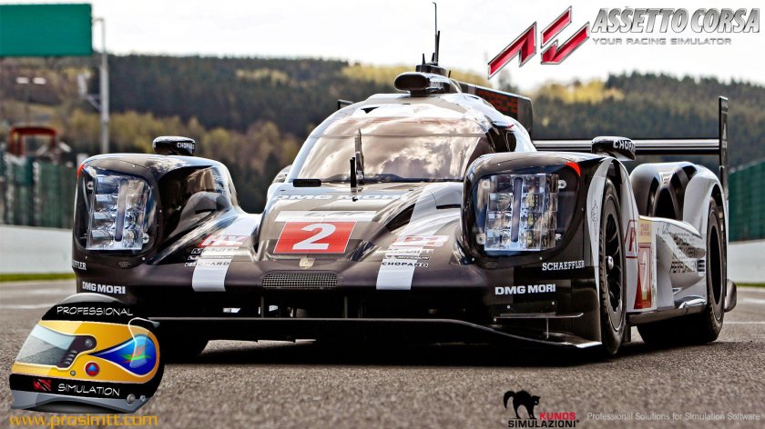 Porsche 919