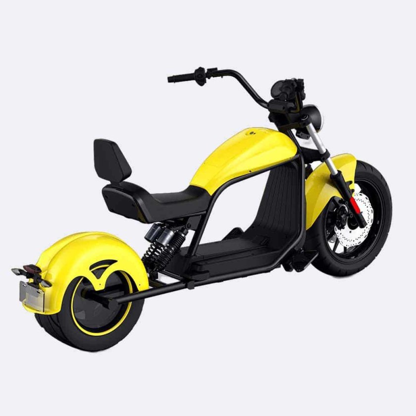 Citycoco Harley Chopper 3000w