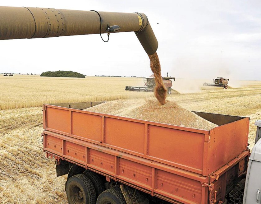Грузовик с зерном