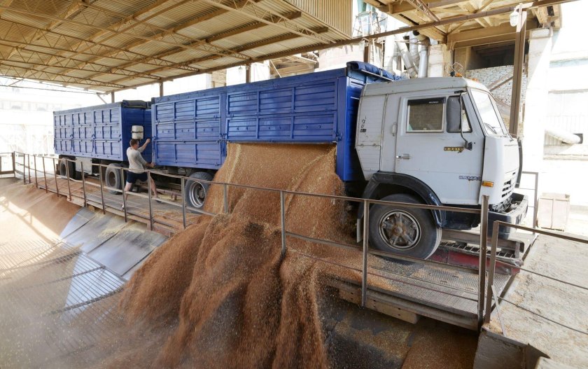 Зерновоз КАМАЗ на выгрузке