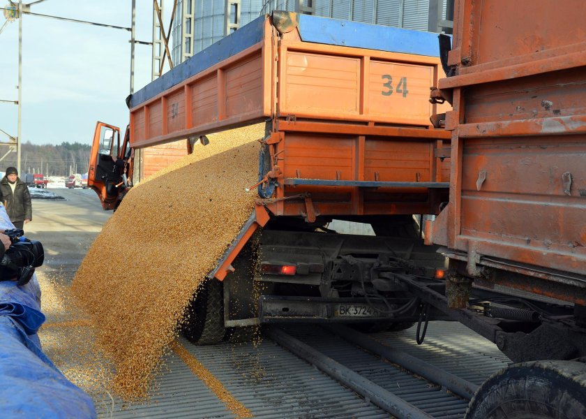 КАМАЗ зерновоз разгрузка зерна