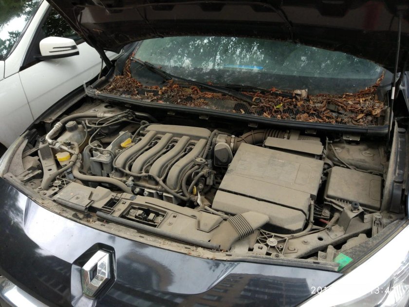 Fluence Renault подкапотка
